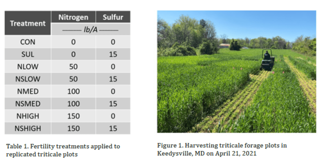 Photos showing Table 1 Fertility treatments and Fig 1 Harvesting triticale