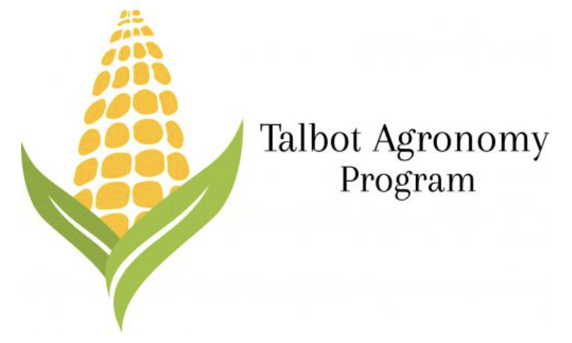 Talbot Agronomy Program logo of yellow corn with green husk