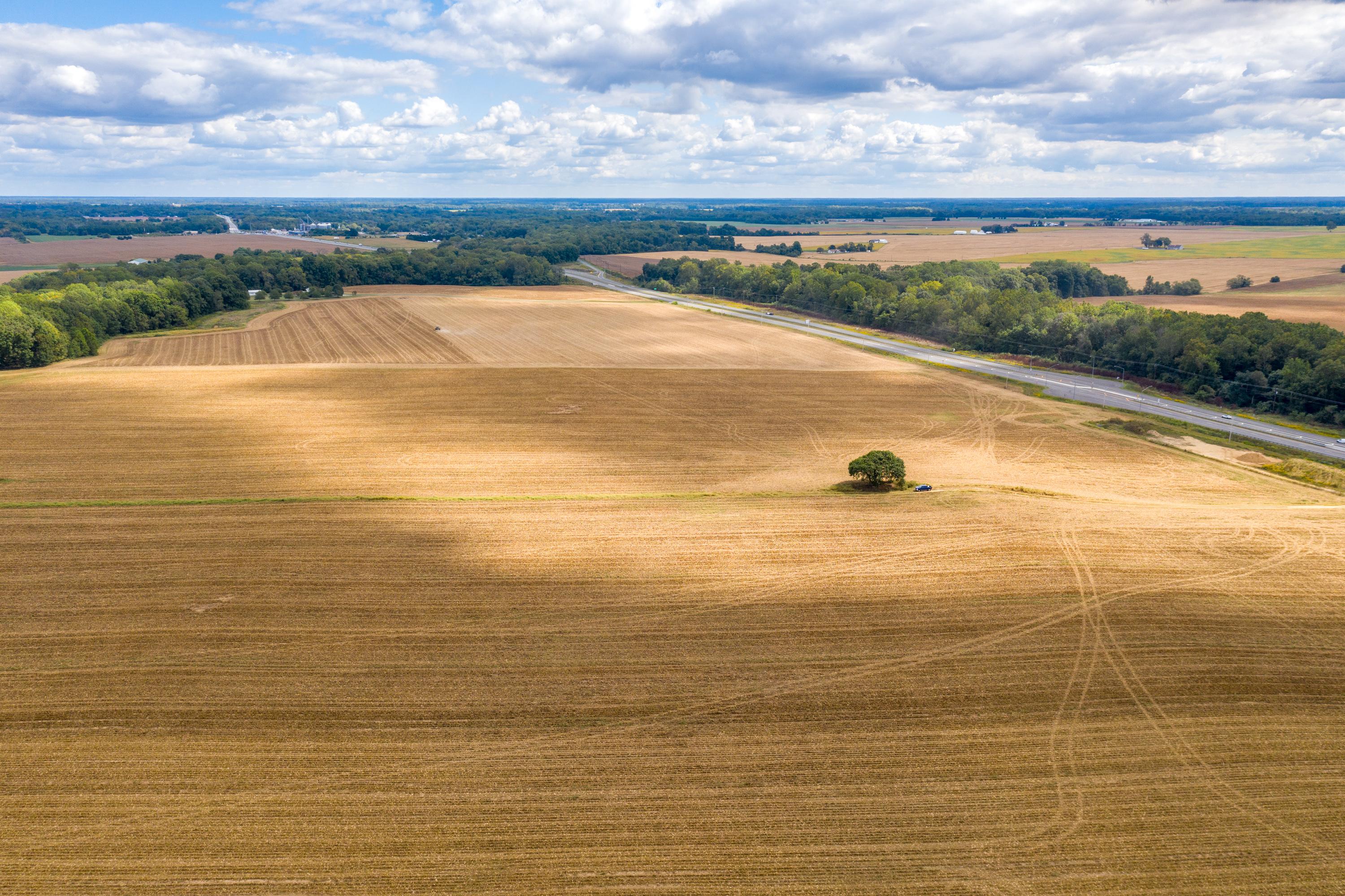 Corn Harvest from above on the Eastern Shore of Maryland
