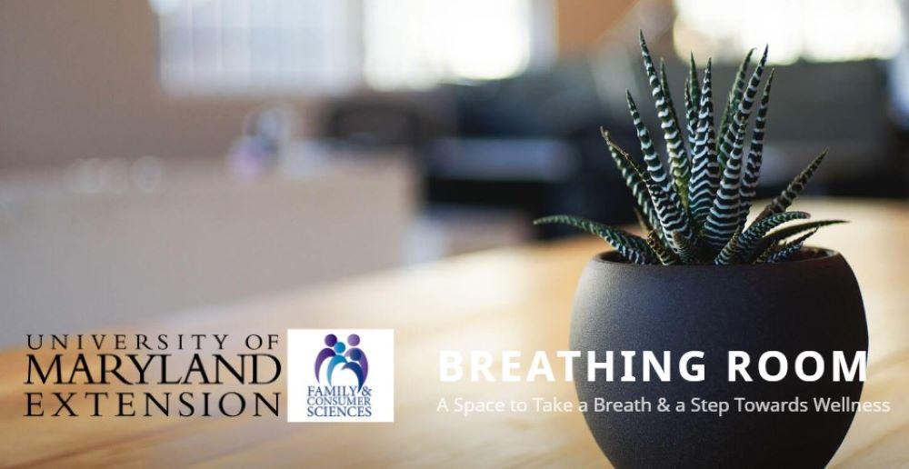 Family and Consumer Sciences Breathing Room Blog
