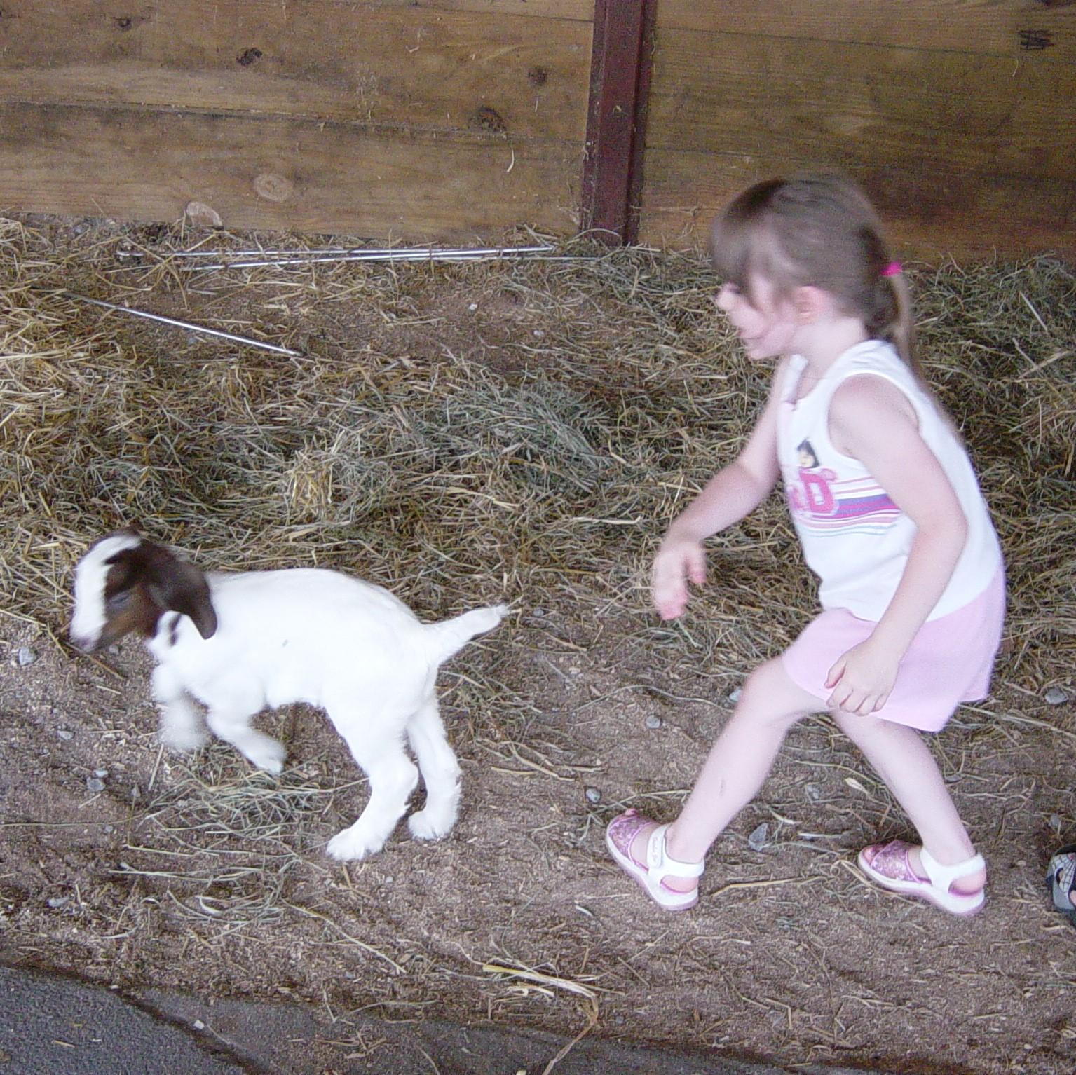 Little girl with goat