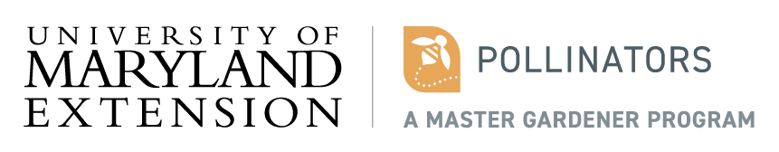 University of Maryland Master Gardener Polinators