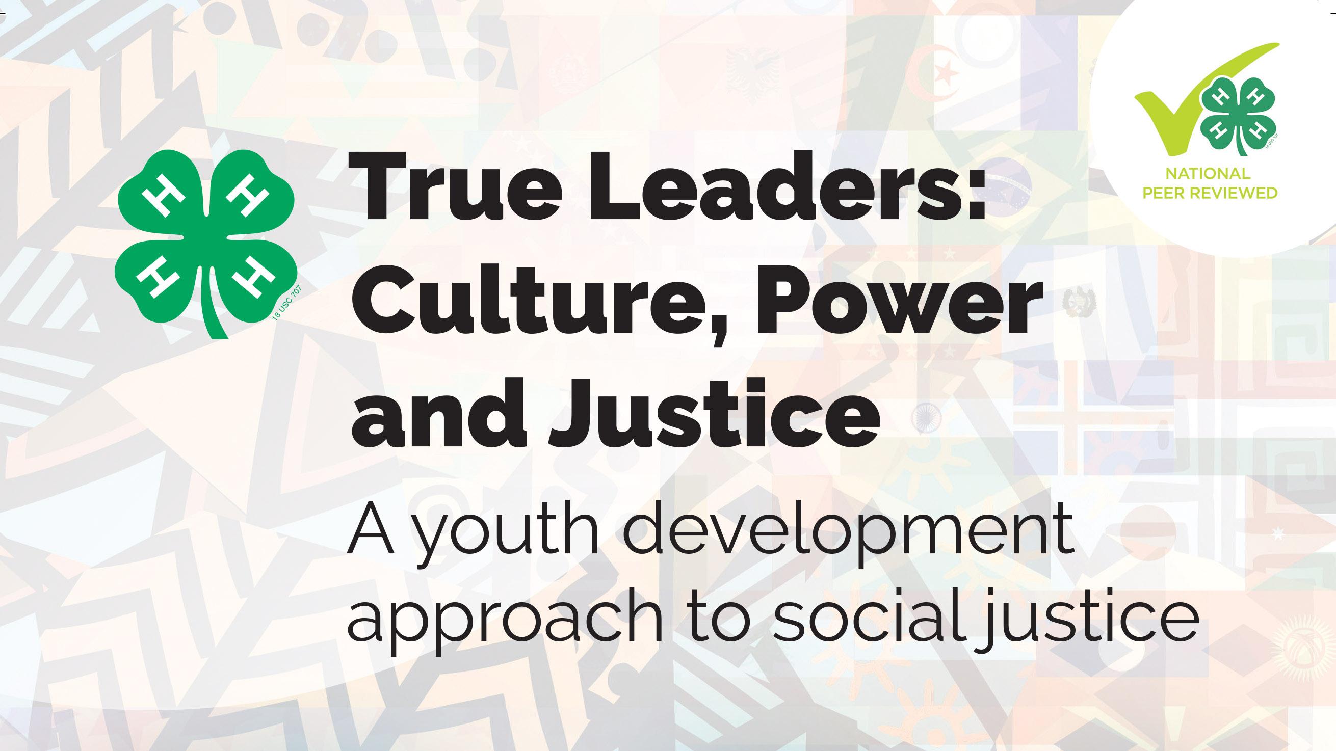 Social Justice Youth Development title of curriculum 