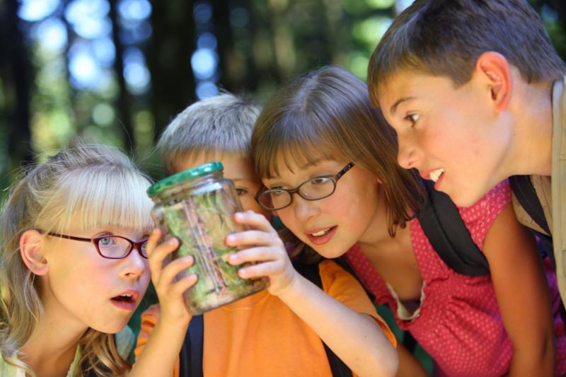 4-H Project Opportunities