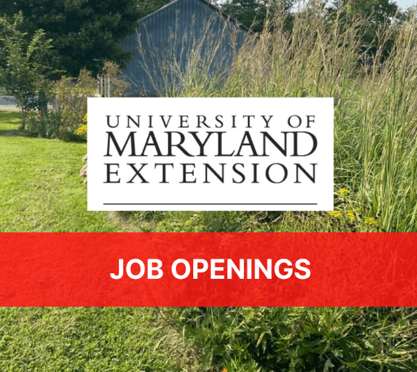 job openings