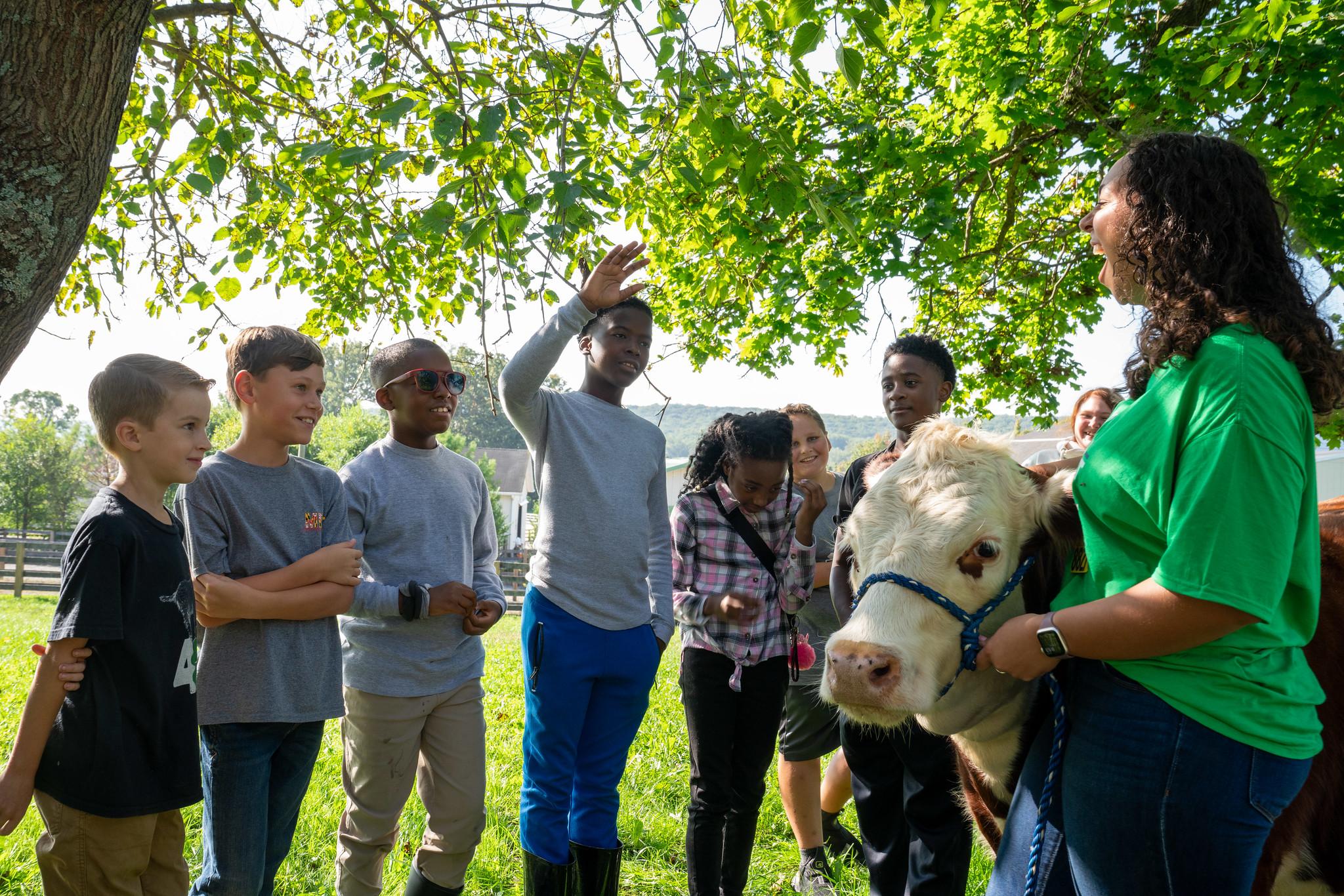 Baltimore County 4-H with Cow