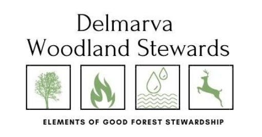 Delmarva Woodland Stewards logo