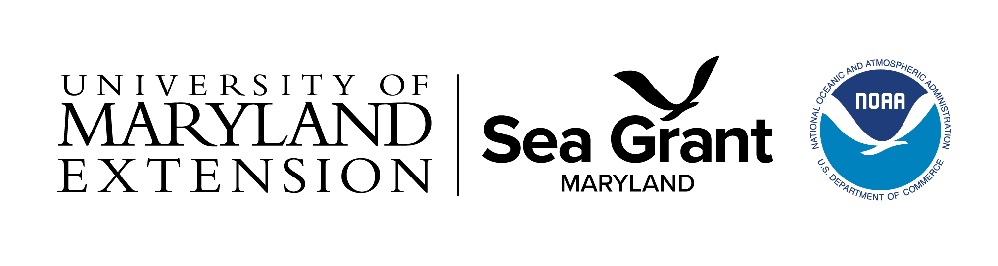 UMD Extension Sea Grant Logo