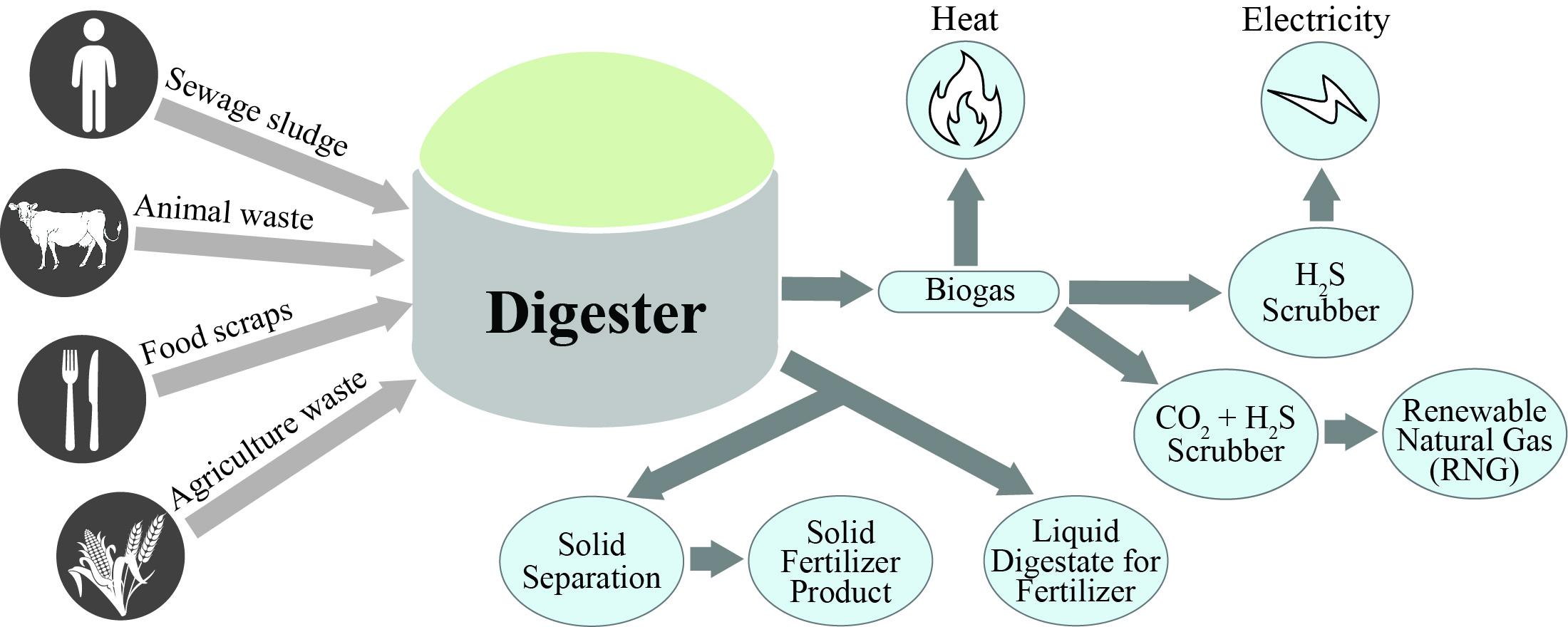 Diagram of the inputs and outputs of an anaerobic digestion bioenergy production system.