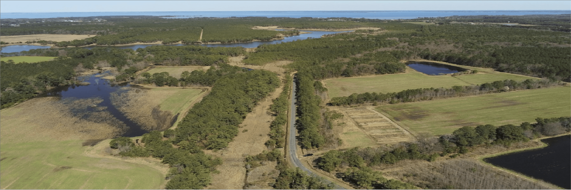 Aerial image of saltwater intrusion on farm surrounded by forest and water