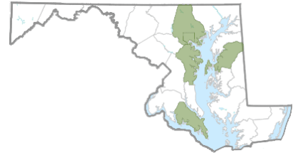 Japanese angelica tree reported distribution.  From Maryland Biodiversity Project.
