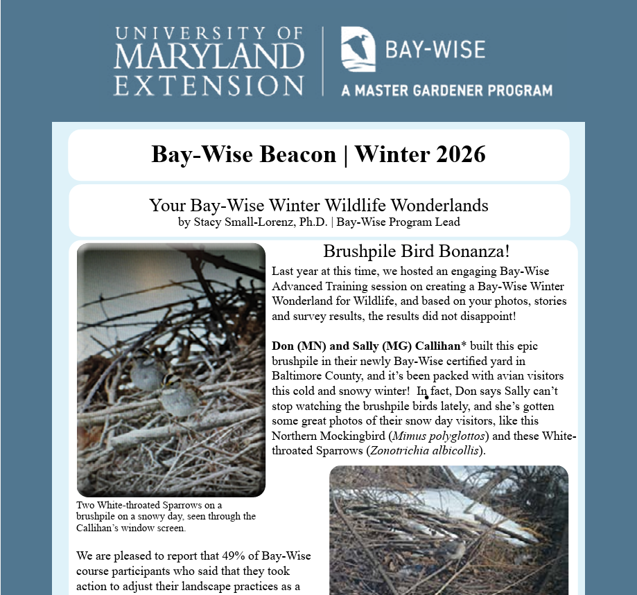 Screenshot of Winter 2026 BW Beacon