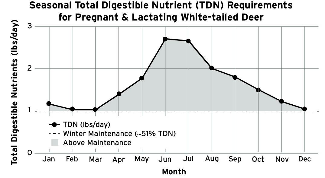 “Line graph of daily Total Digestible Nutrients (TDN) requirements for a 120‑lb pregnant/lactating white‑tailed deer doe across January–December. Y‑axis ranges 0–3.5 lbs/day. A dashed horizontal line at 1.0 lb/day marks winter maintenance, with a light gray shaded area above it. TDN stays low January–March (1.03–1.16), rises through spring (April 1.39, May 1.77), peaks in June–July (2.70–2.65) during peak lactation, then declines through fall and early winter (August 2.00 to December 1.04).”