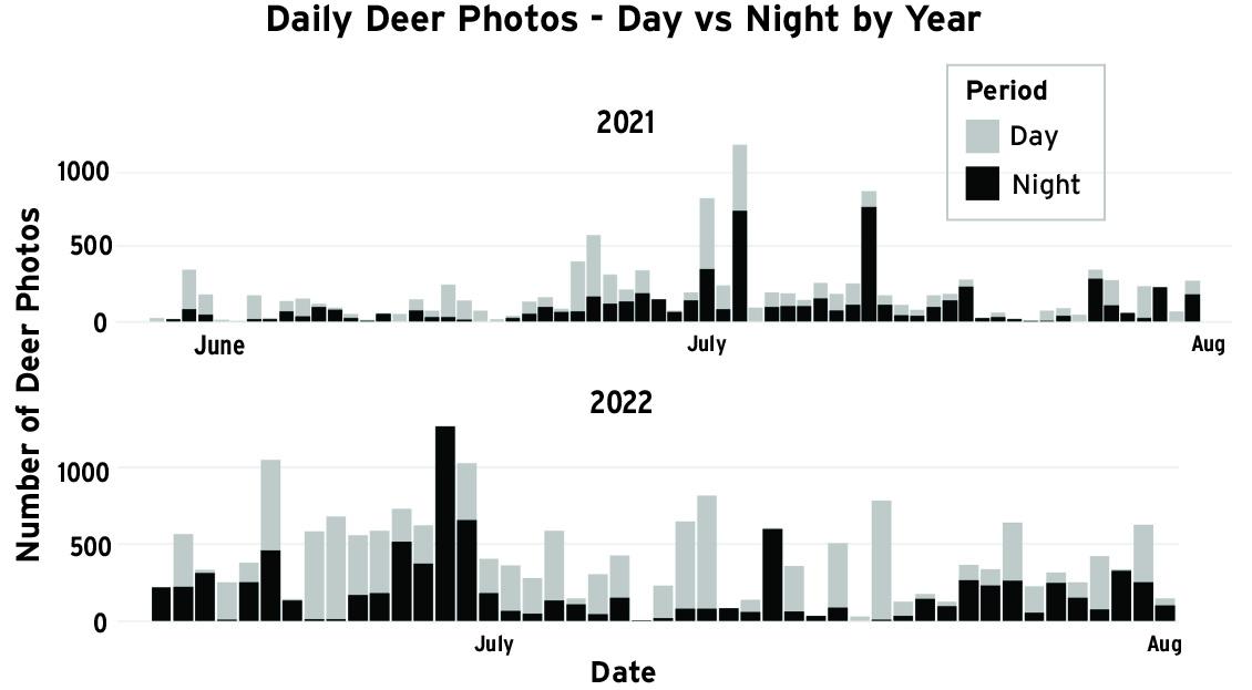A two‑panel bar chart titled “Daily Deer Photos – Day vs Night by Year.” The top panel shows 2021 data and the bottom panel shows 2022 data. Each panel displays daily counts of deer photos taken in June, July, and August, with light‑gray bars for daytime photos and black bars for nighttime photos. The y‑axis ranges from 0 to 1000 photos, and the x‑axis lists dates across the summer months. Both years show noticeable peaks in July, with varying levels of day versus night activity. 