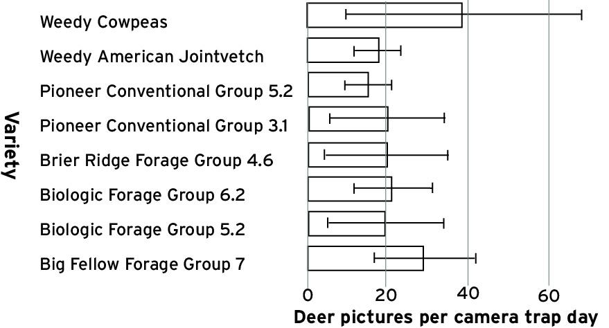 Bar chart showing mean deer photos per camera‑trap day for eight soybean forage varieties at Wye REC (2022), with 95% CI error bars. Means range from ~14.8 (Pioneer Conventional 5.2) to ~38.1 (Weedy Cowpeas). All confidence intervals overlap, indicating no significant differences. Weedy Cowpeas show the highest mean and widest interval, likely due to poor establishment and heavy weed cover.