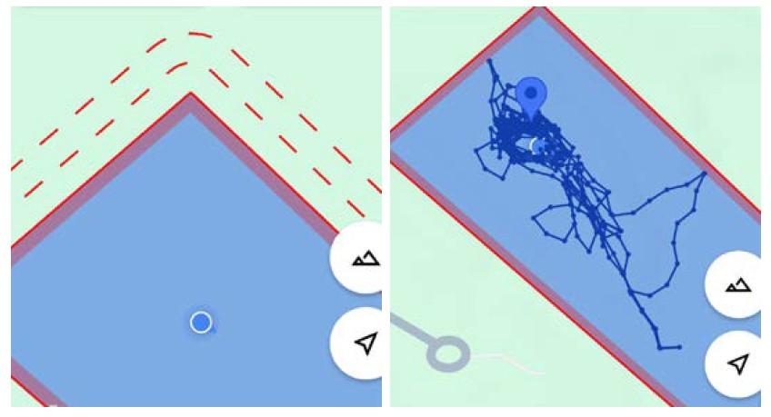  A map of geofence boundaries with 4 levels of correction that can be set at various distances from a boundary (left), and a  map showing dog movement pattern over the course of a day and the dog reaching the edge of the boundary and immediately returning to the interior after beep of the collar was triggered (right).