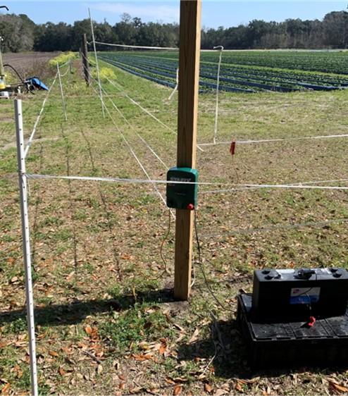 A two-tier electric fence setup installed at the edge of a crop field. A wooden post supports an electric fence charger connected to multiple strands of white polywire running horizontally in two levels. A black battery box sits on the ground next to the post, powering the system. Additional fence posts extend into the distance along the crop rows, with fields of planted crops visible to the right and open ground to the left under a sunny sky.