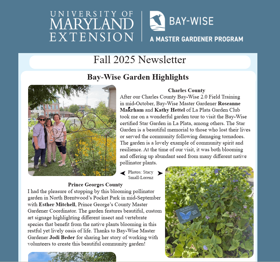 Fall 2025 BW Newsletter screenshot