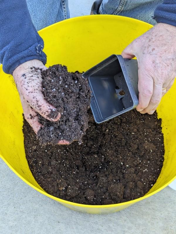 Scooping potting media by hand from a mixing tub into an empty container.