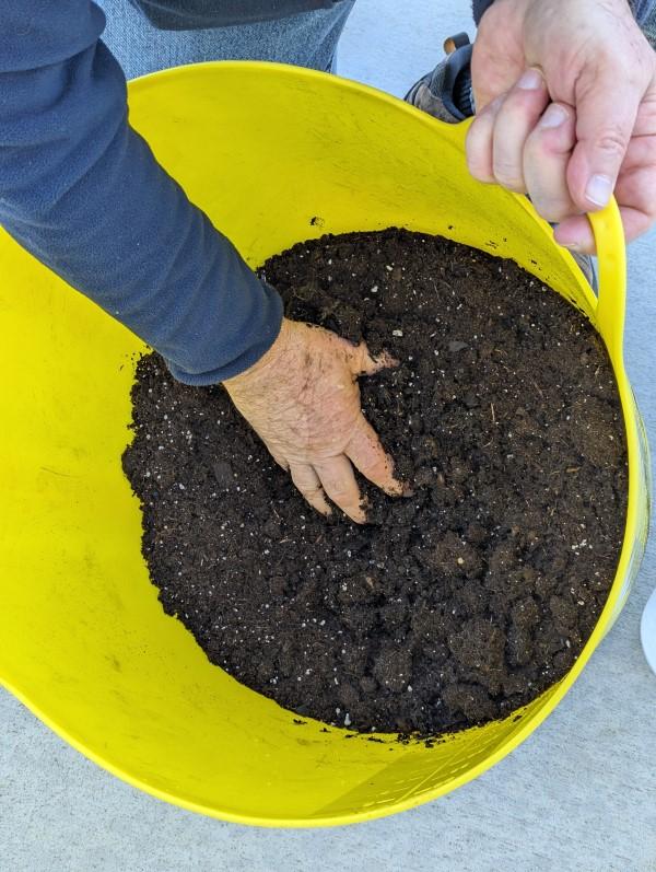 Using fingers to comb through and stir the potting mix to distribute the wet areas with dry mix until it’s uniformly moist.