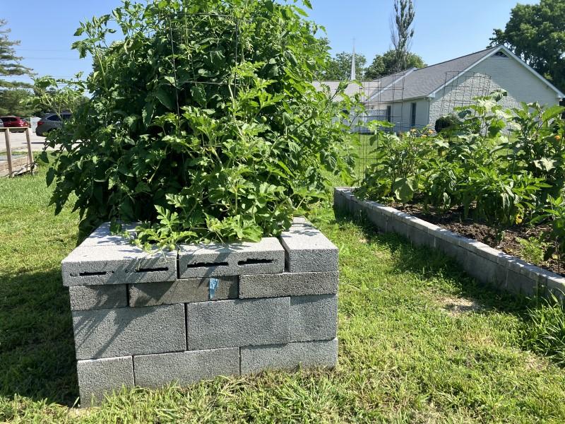 Stacked concrete blocks form the walls of two raised beds filled with lush vegetable plants.