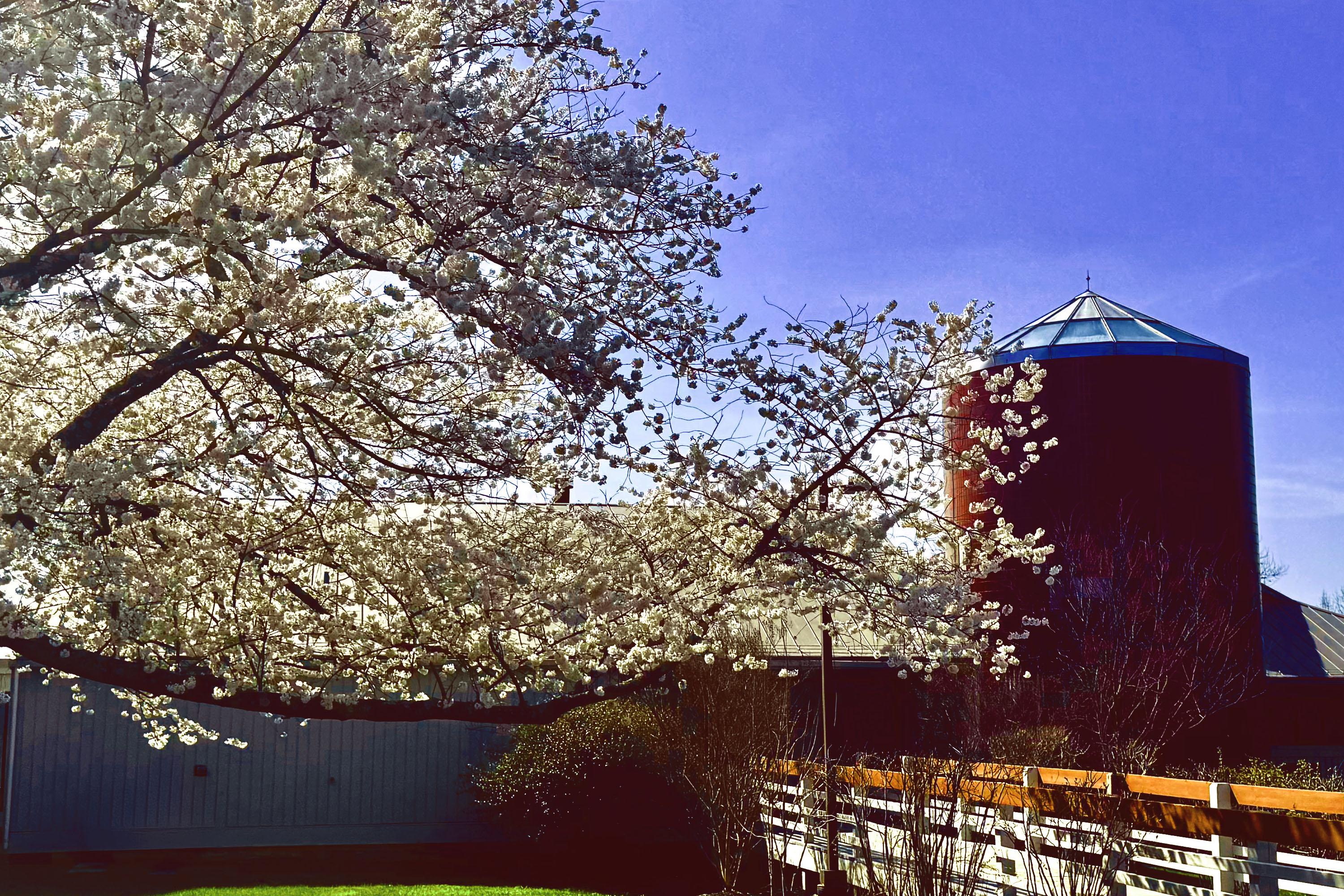 Picture of Montgomery County Extension Office