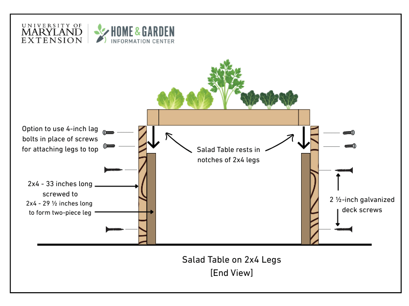 Diagram side view of how a Salad Table frame rests on the shorter inner piece of the two-piece legs.