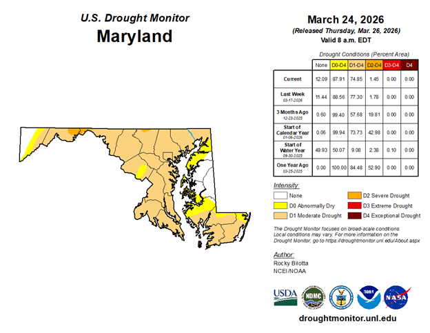 U.S. Drought Monitor map for Maryland dated March 24, 2026. Most of the state is shaded tan (D1—Moderate Drought), with yellow (D0—Abnormally Dry) areas mainly along the Chesapeake Bay and Eastern Shore; no severe (D2–D4) drought is shown. A side table reports current coverage of 87.91% in D1 and 12.09% in D0, with 0% in D2–D4.