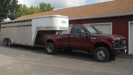A maroon heavy-duty pickup truck parked on a paved driveway is towing a long white livestock trailer with side ventilation slats. The truck and trailer are positioned beside a red building with white garage doors, with trees and a partly cloudy sky in the background.
