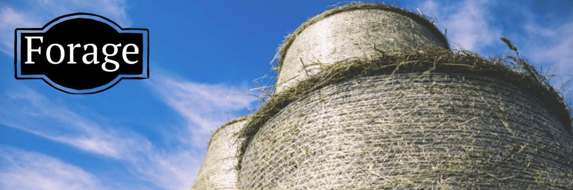 Large round hay bales stacked outdoors under a blue sky, with a label reading “Forage.”