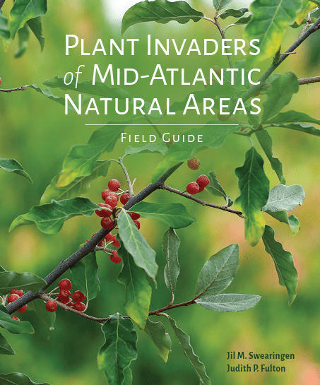 Book Cover for Plant Invaders of Mid Atlantic, holly berries on blurred sky blue background