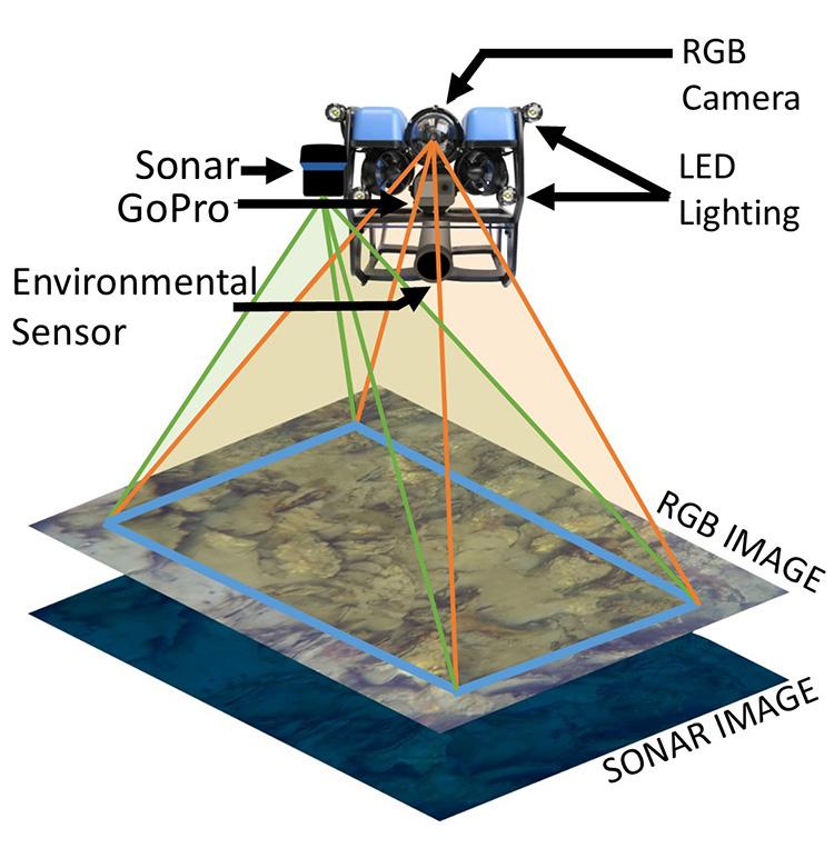 Diagram of an underwater remotely operated vehicle (ROV) equipped with an RGB camera, sonar, GoPro camera, environmental sensor, and LED lighting. Colored sensor coverage areas extend downward to the seafloor, illustrating data collection footprints. Two resulting data layers are shown beneath the vehicle: an RGB image layer and a depth layer generated from sonar data.