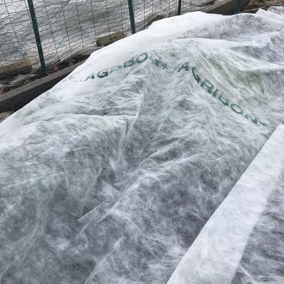Gauzy white fabric draped over a vegetable bed.