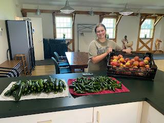 Anne Arundel County Intern