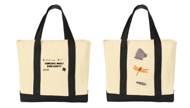 Front and back of a tote bag