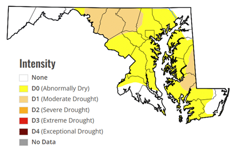 Map of Maryland showing drought intensity by county. Most central, eastern, and southern counties are classified as D0 (Abnormally Dry, yellow), while several northern and western counties are classified as D1 (Moderate Drought, tan). No areas are shown in severe, extreme, or exceptional drought.