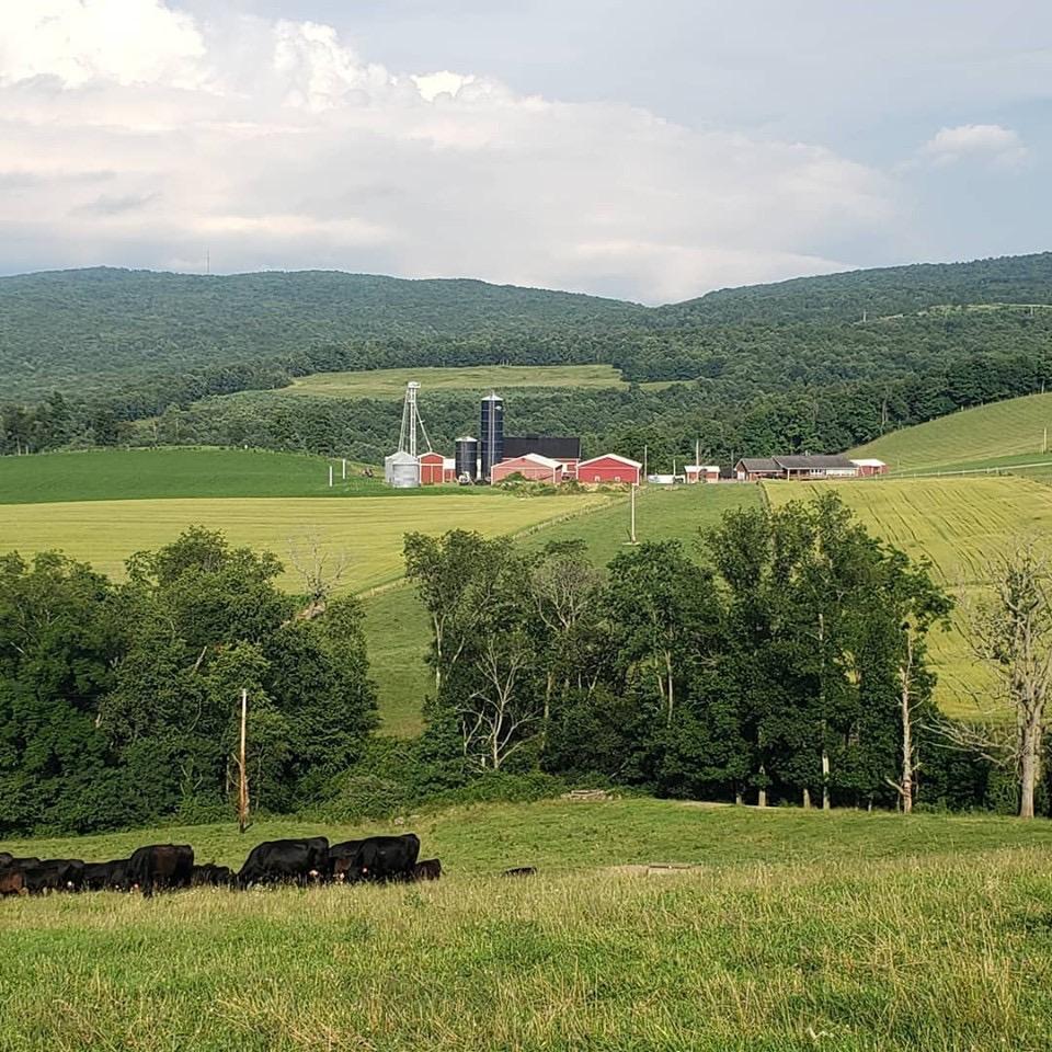 View of Garrett County Farm
