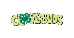 Cloverbuds