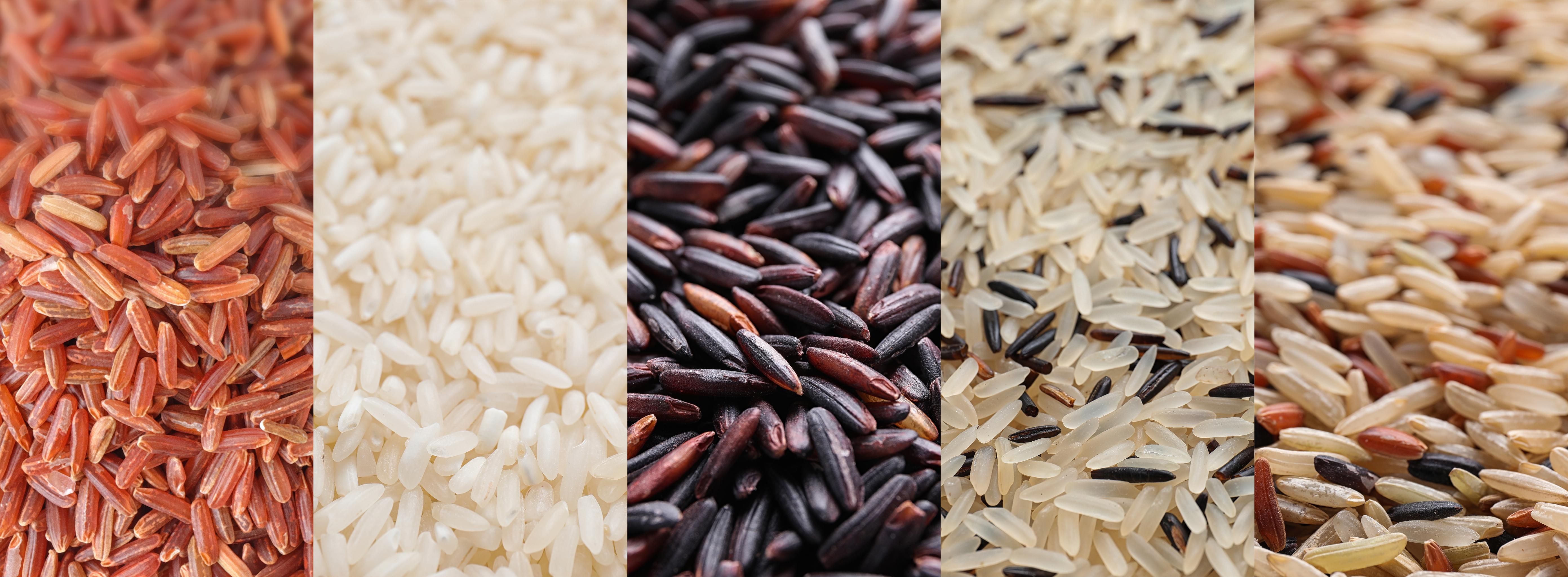 Cooking with Rice | University of Maryland Extension