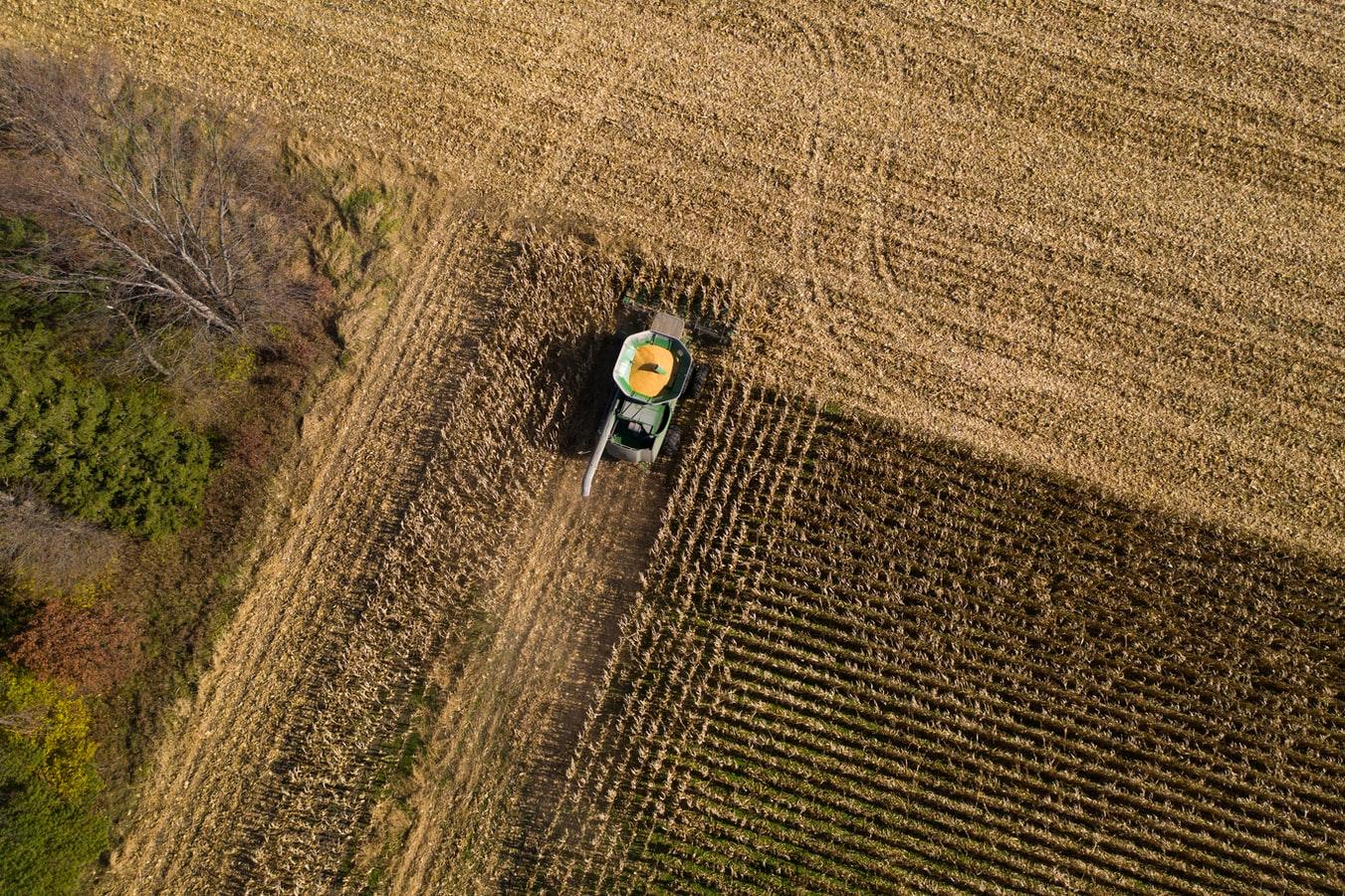 Aerial photo of a combine harvesting corn