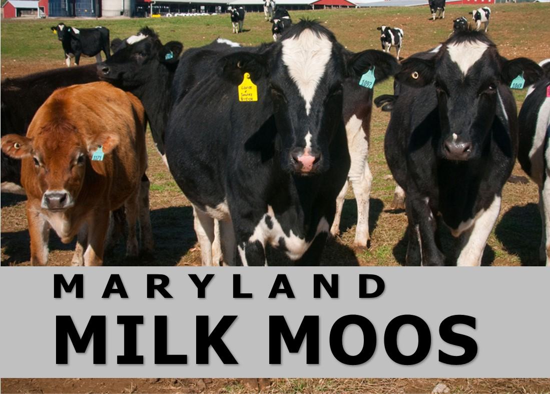 Maryland Milk Moos newletter