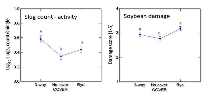 Figure 9. For the cover crop plots termination on the mid date, more slugs were counted in the 3-way mix, but more damage was observed in the rye.