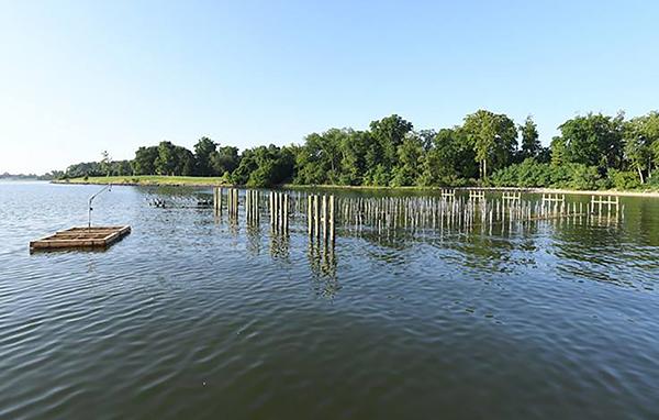 Image of Horn Point Laboratory's Oyster Demonstration Farm