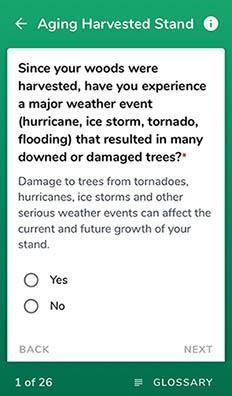 HealthyWoods app screenshot