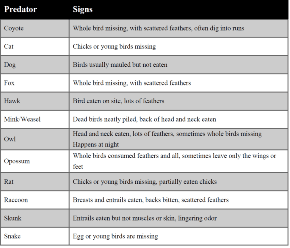 poultry - list of warning signs of predator 