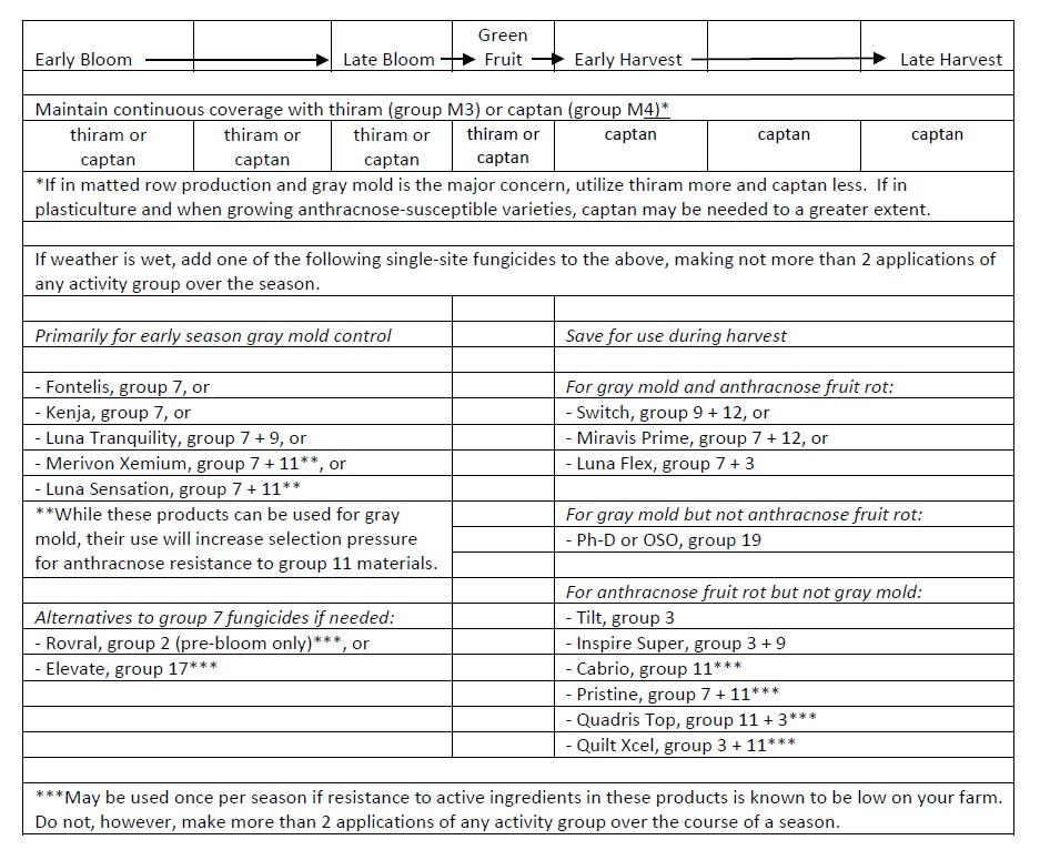 A table that summarizes the information presented in this article with details on specific recommended fungicides, considerations for making the best use of them while minimizing resistance development, and their activity groups.  