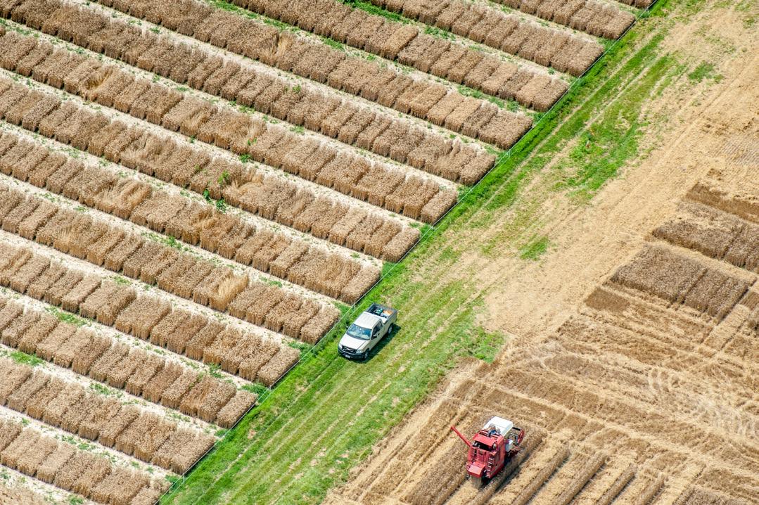 Tractor harvesting crop, Photo: Edwin Remsberg