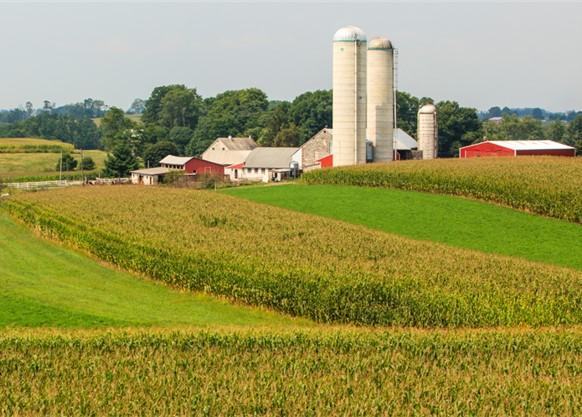 farm land
