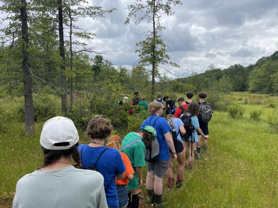 picture of kids hiking