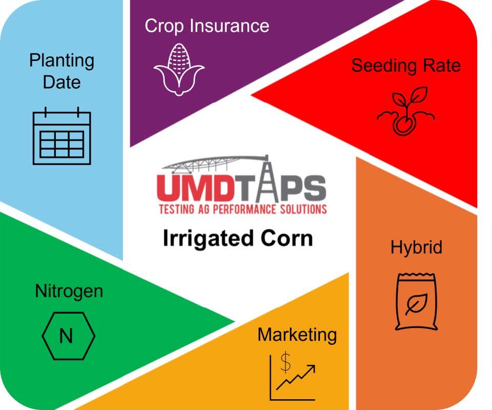 Infographic for Irrigated Corn